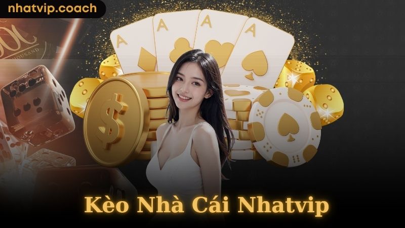 Tại sao nên soi kèo nhà cái trước khi đặt cược?